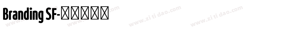Branding SF字体转换